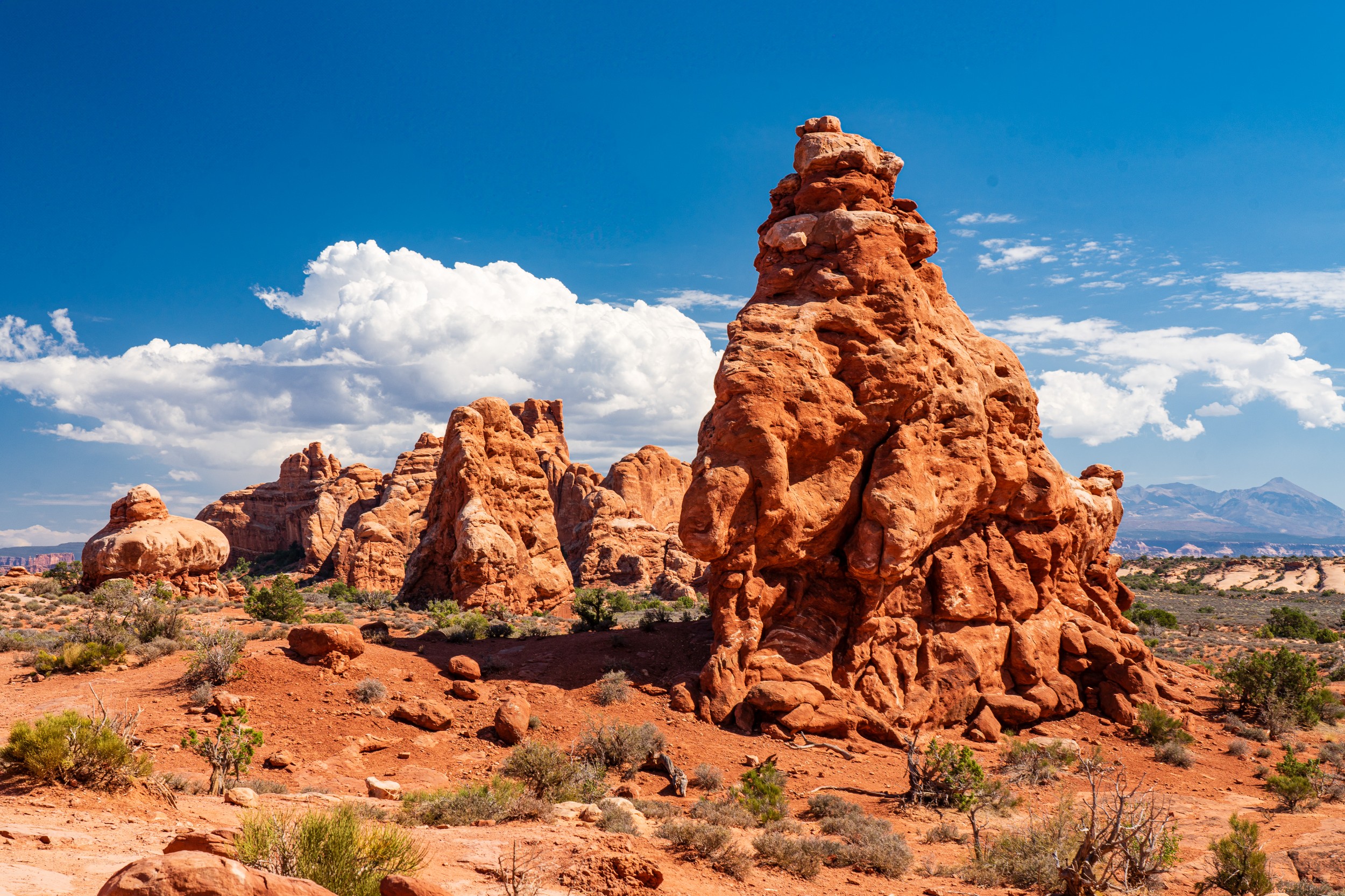 USA 2024 5 Sterne 124